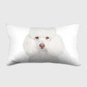Подушка 3D антистресс с принтом Белый пудель в Кировске, наволочка — 100% полиэстер, наполнитель — вспененный полистирол | состоит из подушки и наволочки на молнии | белый пудель | животное | порода | собака