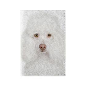 Обложка для паспорта матовая кожа с принтом Белый пудель в Кировске, натуральная матовая кожа | размер 19,3 х 13,7 см; прозрачные пластиковые крепления | Тематика изображения на принте: белый пудель | животное | порода | собака