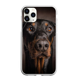 Чехол для iPhone 11 Pro матовый с принтом Доберман в Кировске, Силикон |  | Тематика изображения на принте: доберман | животное | порода | собака