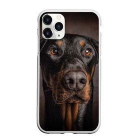 Чехол для iPhone 11 Pro Max матовый с принтом Доберман в Кировске, Силикон |  | Тематика изображения на принте: доберман | животное | порода | собака