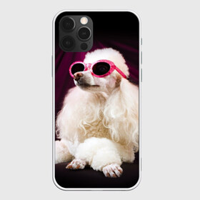 Чехол для iPhone 12 Pro Max с принтом Пудель в очках в Кировске, Силикон |  | Тематика изображения на принте: животное | порода | пудель в очках | собака