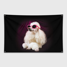 Флаг-баннер с принтом Пудель в очках в Кировске, 100% полиэстер | размер 67 х 109 см, плотность ткани — 95 г/м2; по краям флага есть четыре люверса для крепления | животное | порода | пудель в очках | собака