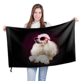 Флаг 3D с принтом Пудель в очках в Кировске, 100% полиэстер | плотность ткани — 95 г/м2, размер — 67 х 109 см. Принт наносится с одной стороны | Тематика изображения на принте: животное | порода | пудель в очках | собака