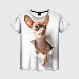 Женская футболка 3D с принтом Той-терьер в Кировске, 100% полиэфир ( синтетическое хлопкоподобное полотно) | прямой крой, круглый вырез горловины, длина до линии бедер | животное | порода | собака | той терьер