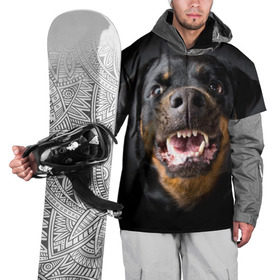 Накидка на куртку 3D с принтом Ротвейлер в Кировске, 100% полиэстер |  | Тематика изображения на принте: животное | порода | ротвейлер | собака
