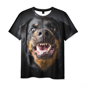 Мужская футболка 3D с принтом Ротвейлер в Кировске, 100% полиэфир | прямой крой, круглый вырез горловины, длина до линии бедер | животное | порода | ротвейлер | собака
