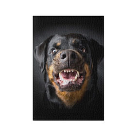 Обложка для паспорта матовая кожа с принтом Ротвейлер в Кировске, натуральная матовая кожа | размер 19,3 х 13,7 см; прозрачные пластиковые крепления | животное | порода | ротвейлер | собака