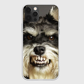 Чехол для iPhone 12 Pro Max с принтом Цвергшнауцер в Кировске, Силикон |  | Тематика изображения на принте: животное | порода | собака | цвергшнауцер