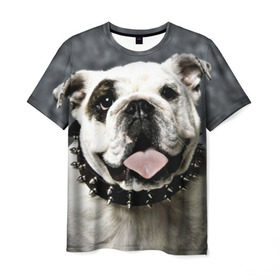Мужская футболка 3D с принтом Английский бульдог в Кировске, 100% полиэфир | прямой крой, круглый вырез горловины, длина до линии бедер | животное | порода | собака | французский бульдог