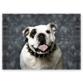 Поздравительная открытка с принтом Английский бульдог в Кировске, 100% бумага | плотность бумаги 280 г/м2, матовая, на обратной стороне линовка и место для марки
 | животное | порода | собака | французский бульдог