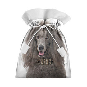 Подарочный 3D мешок с принтом Пудель в Кировске, 100% полиэстер | Размер: 29*39 см | Тематика изображения на принте: животное | порода | пудель | собака