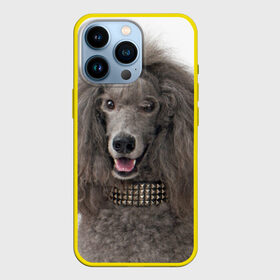 Чехол для iPhone 13 Pro с принтом Пудель в Кировске,  |  | Тематика изображения на принте: животное | порода | пудель | собака