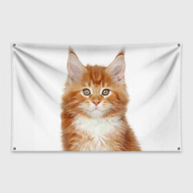 Флаг-баннер с принтом Рыжий котенок в Кировске, 100% полиэстер | размер 67 х 109 см, плотность ткани — 95 г/м2; по краям флага есть четыре люверса для крепления | животное | порода | рыжий котенок