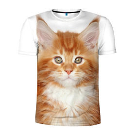 Мужская футболка 3D спортивная с принтом Рыжий котенок в Кировске, 100% полиэстер с улучшенными характеристиками | приталенный силуэт, круглая горловина, широкие плечи, сужается к линии бедра | животное | порода | рыжий котенок