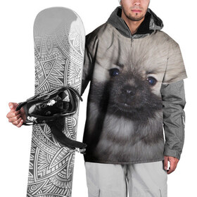 Накидка на куртку 3D с принтом Кеесхонд в Кировске, 100% полиэстер |  | животное | кеесхонд | порода | собака
