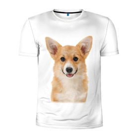 Мужская футболка 3D спортивная с принтом Пемброк-вельш-корги в Кировске, 100% полиэстер с улучшенными характеристиками | приталенный силуэт, круглая горловина, широкие плечи, сужается к линии бедра | животное | пемброк вельш корги | порода | собака