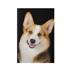 Обложка для паспорта матовая кожа с принтом Пемброк-вельш-корги в Кировске, натуральная матовая кожа | размер 19,3 х 13,7 см; прозрачные пластиковые крепления | Тематика изображения на принте: животное | пемброк вельш корги | порода | собака