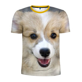 Мужская футболка 3D спортивная с принтом Пемброк-вельш-корги, собака, п в Кировске, 100% полиэстер с улучшенными характеристиками | приталенный силуэт, круглая горловина, широкие плечи, сужается к линии бедра | Тематика изображения на принте: животное | пемброк вельш корги | порода | собака