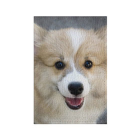 Обложка для паспорта матовая кожа с принтом Пемброк-вельш-корги, собака, п в Кировске, натуральная матовая кожа | размер 19,3 х 13,7 см; прозрачные пластиковые крепления | Тематика изображения на принте: животное | пемброк вельш корги | порода | собака