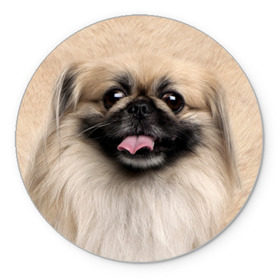 Коврик круглый с принтом Пекинес в Кировске, резина и полиэстер | круглая форма, изображение наносится на всю лицевую часть | животное | пекинес | порода | собака