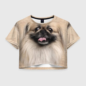 Женская футболка 3D укороченная с принтом Пекинес в Кировске, 100% полиэстер | круглая горловина, длина футболки до линии талии, рукава с отворотами | животное | пекинес | порода | собака