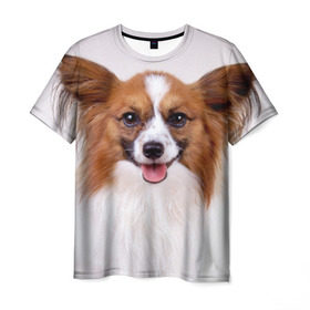 Мужская футболка 3D с принтом Папийон в Кировске, 100% полиэфир | прямой крой, круглый вырез горловины, длина до линии бедер | животное | папийон | порода | собака