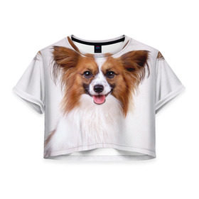 Женская футболка 3D укороченная с принтом Папийон в Кировске, 100% полиэстер | круглая горловина, длина футболки до линии талии, рукава с отворотами | животное | папийон | порода | собака