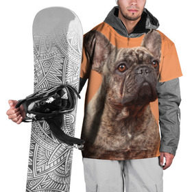 Накидка на куртку 3D с принтом Французский бульдог в Кировске, 100% полиэстер |  | животное | порода | собака | французский бульдог