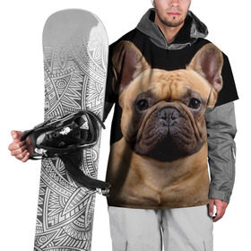Накидка на куртку 3D с принтом Французский бульдог в Кировске, 100% полиэстер |  | Тематика изображения на принте: животное | порода | собака | французский бульдог