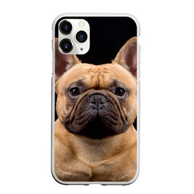 Чехол для iPhone 11 Pro Max матовый с принтом Французский бульдог в Кировске, Силикон |  | Тематика изображения на принте: животное | порода | собака | французский бульдог