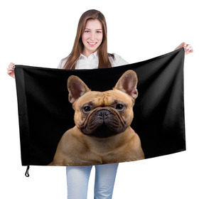 Флаг 3D с принтом Французский бульдог в Кировске, 100% полиэстер | плотность ткани — 95 г/м2, размер — 67 х 109 см. Принт наносится с одной стороны | животное | порода | собака | французский бульдог
