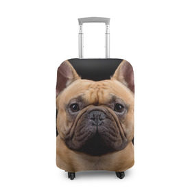 Чехол для чемодана 3D с принтом Французский бульдог в Кировске, 86% полиэфир, 14% спандекс | двустороннее нанесение принта, прорези для ручек и колес | животное | порода | собака | французский бульдог