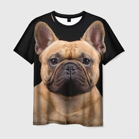 Мужская футболка 3D с принтом Французский бульдог в Кировске, 100% полиэфир | прямой крой, круглый вырез горловины, длина до линии бедер | Тематика изображения на принте: животное | порода | собака | французский бульдог