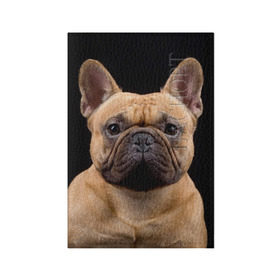 Обложка для паспорта матовая кожа с принтом Французский бульдог в Кировске, натуральная матовая кожа | размер 19,3 х 13,7 см; прозрачные пластиковые крепления | Тематика изображения на принте: животное | порода | собака | французский бульдог