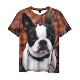 Мужская футболка 3D с принтом Бостон Терьер в Кировске, 100% полиэфир | прямой крой, круглый вырез горловины, длина до линии бедер | животное | порода | собака | французский бульдог