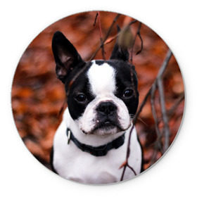 Коврик круглый с принтом Бостон Терьер в Кировске, резина и полиэстер | круглая форма, изображение наносится на всю лицевую часть | животное | порода | собака | французский бульдог