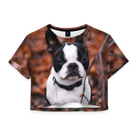 Женская футболка 3D укороченная с принтом Бостон Терьер в Кировске, 100% полиэстер | круглая горловина, длина футболки до линии талии, рукава с отворотами | Тематика изображения на принте: животное | порода | собака | французский бульдог