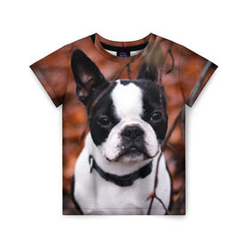 Детская футболка 3D с принтом Бостон Терьер в Кировске, 100% гипоаллергенный полиэфир | прямой крой, круглый вырез горловины, длина до линии бедер, чуть спущенное плечо, ткань немного тянется | животное | порода | собака | французский бульдог