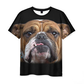 Мужская футболка 3D с принтом Французский бульдог в Кировске, 100% полиэфир | прямой крой, круглый вырез горловины, длина до линии бедер | Тематика изображения на принте: животное | порода | собака | французский бульдог