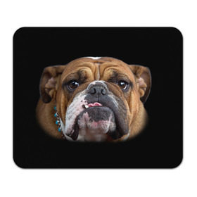 Коврик прямоугольный с принтом Французский бульдог в Кировске, натуральный каучук | размер 230 х 185 мм; запечатка лицевой стороны | Тематика изображения на принте: животное | порода | собака | французский бульдог