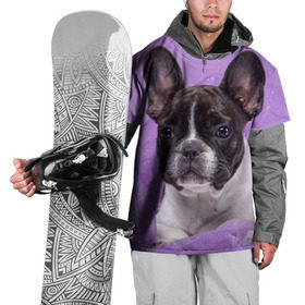 Накидка на куртку 3D с принтом Французский бульдог в Кировске, 100% полиэстер |  | животное | порода | собака | французский бульдог