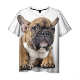 Мужская футболка 3D с принтом Французский бульдог в Кировске, 100% полиэфир | прямой крой, круглый вырез горловины, длина до линии бедер | животное | порода | собака | французский бульдог