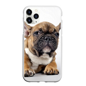 Чехол для iPhone 11 Pro матовый с принтом Французский бульдог в Кировске, Силикон |  | Тематика изображения на принте: животное | порода | собака | французский бульдог