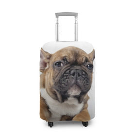 Чехол для чемодана 3D с принтом Французский бульдог в Кировске, 86% полиэфир, 14% спандекс | двустороннее нанесение принта, прорези для ручек и колес | животное | порода | собака | французский бульдог