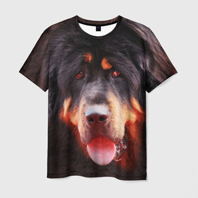 Мужская футболка 3D с принтом Тибетский мастиф в Кировске, 100% полиэфир | прямой крой, круглый вырез горловины, длина до линии бедер | животное | порода | собака