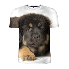 Мужская футболка 3D спортивная с принтом Тибетский мастиф в Кировске, 100% полиэстер с улучшенными характеристиками | приталенный силуэт, круглая горловина, широкие плечи, сужается к линии бедра | Тематика изображения на принте: животное | порода | собака