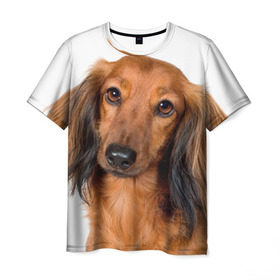 Мужская футболка 3D с принтом Такса в Кировске, 100% полиэфир | прямой крой, круглый вырез горловины, длина до линии бедер | животное | порода | собака | такса