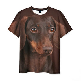 Мужская футболка 3D с принтом Такса в Кировске, 100% полиэфир | прямой крой, круглый вырез горловины, длина до линии бедер | животное | порода | собака | такса