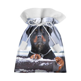 Подарочный 3D мешок с принтом Ротвейлер в Кировске, 100% полиэстер | Размер: 29*39 см | животное | порода | ротвейлер | собака