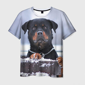 Мужская футболка 3D с принтом Ротвейлер в Кировске, 100% полиэфир | прямой крой, круглый вырез горловины, длина до линии бедер | животное | порода | ротвейлер | собака